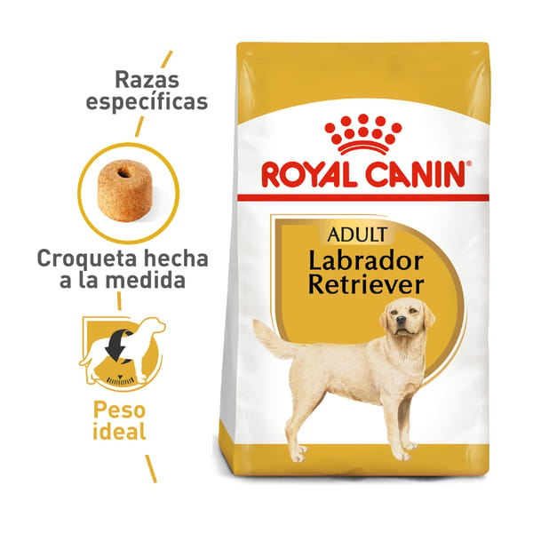 royal-canin-labrador