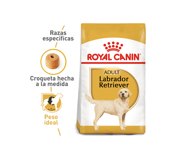 royal-canin-labrador
