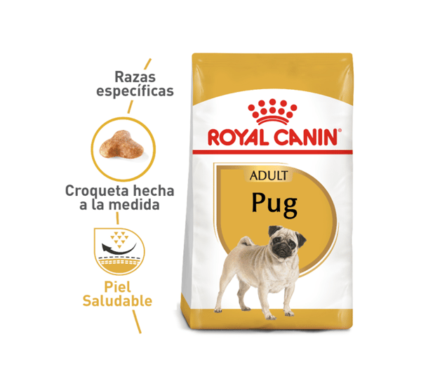 royal-canin-pug-adulto