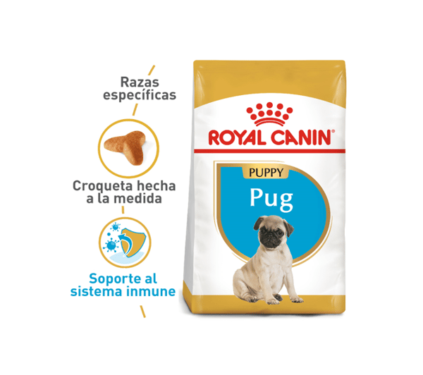 royal-canin-pug-puppy