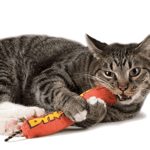 petstages-juguete-catnip-red-magic-dynamite