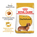 royal-canin-dachshund