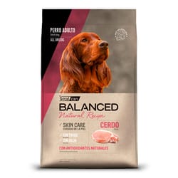 Vitalcan Balanced - Alimento Adulto Natural Recipe Cerdo