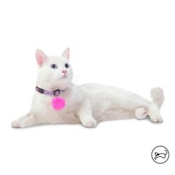 Totto Pets - Collar Ajustable Gato Meow
