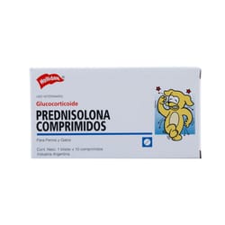 Holliday - Prednisolona Anti- inflamatorio 20 mg