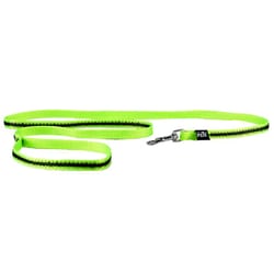 Fancy Pets - Correa Con Ultra Grip y Bandas Reflejantes Verde