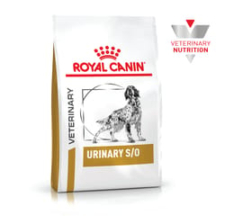 Royal Canin Urinary So Dog