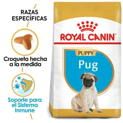 Royal Canin - Alimento Seco para Cachorro Raza Pug