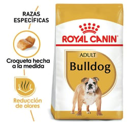 Royal Canin - Alimento Seco para Perro Adulto Bulldog Inglés