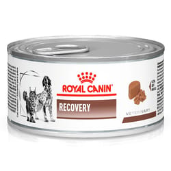 Royal Canin - Alimento Húmedo Recovery Perros y Gatos Lata
