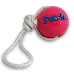 Planet Dog - Fetch Ball Rosa Con Cuerda