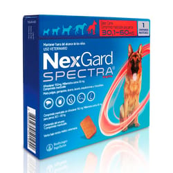 Nexgard Spectra - Antiparasitario Perros de 30.1 A 60 Kg
