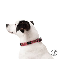 Totto Pets - Collar Ajustable Perro Mylu Rojo
