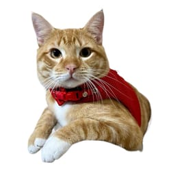 Meow Design® - Pechera Para Gatos Sport Roja