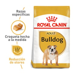 Royal Canin - Bulldog Adulto