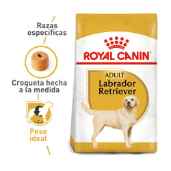 Royal Canin - Labrador Adult