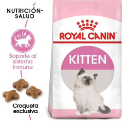 Royal Canin - Alimento Seco para Gata Gestante y Mininos