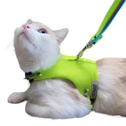 Meow Design® - Pechera Para Gatos Sport Verde Neón
