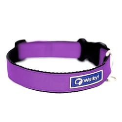 Walky - Collar Portaplaca - Violeta