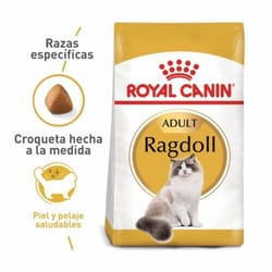 Royal Canin - Ragdoll Adult Feline