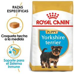 Royal Canin - Alimento Seco para Cachorro Raza Yorkshire Terrier
