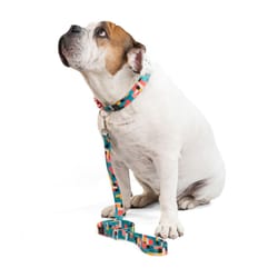 Obi Pet Supplies - Bicombo Collar Blocks