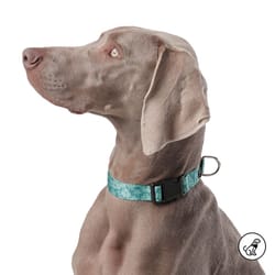 Totto Pets - Collar Ajustable Perro Mylu Verde