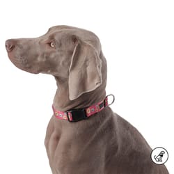 Totto Pets - Collar Ajustable Perro Mylu Rojo