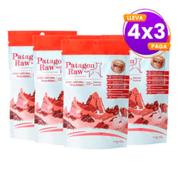 Patagon Raw - Pack 4x3 Perro Salmón Austral