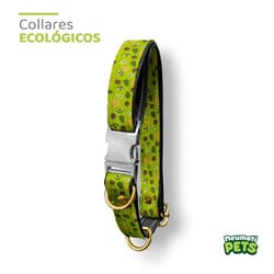 NeumatiPets - Collar Ecológico Diseño Nachos con Aguacates