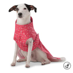 Totto Pets - Capa de Lluvia para Perro Sussy Rojo
