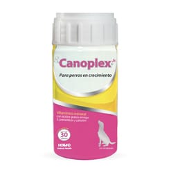 Holland Rx Canoplex Jr - Suplemento Nutricional para Cachorro