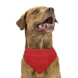 Laika - Pañoleta Roja para Mascota