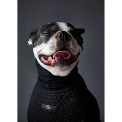 The Striped Dog - Suéter Negro Cuello Tortuga