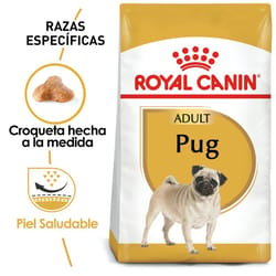 Royal Canin - Alimento Seco para Perro Adulto Raza Pug