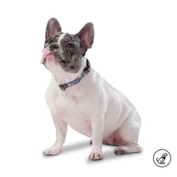 Totto Pets - Collar Ajustable Perro Mylu Caritas