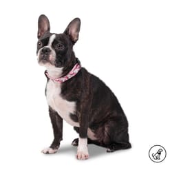 Totto Pets - Collar Ajustable Perro Mylu Minnie Mouse Rosado