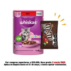 Whiskas - Alimento Húmedo Gatitos Res