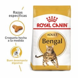 Royal Canin - Bengali Adulto