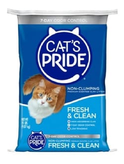 Arena Cats Pride Premium