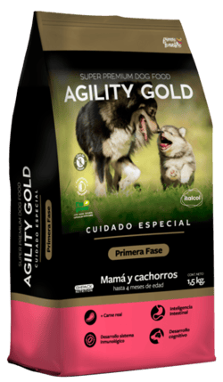 Agility Gold - Cachorros Primera Fase