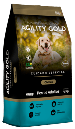 Agility Gold - Adultos Obesos