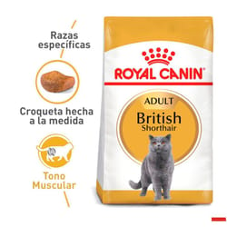 Royal Canin - Alimento Gato British Shorthair
