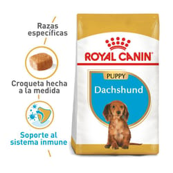 Royal Canin - Dachshund Puppy