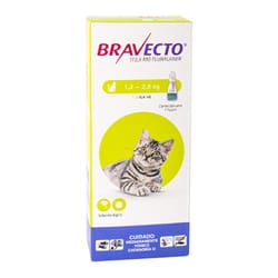 Bravecto - Gatos