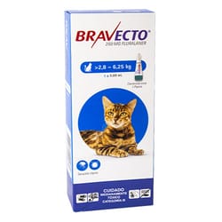 Bravecto - Gatos.