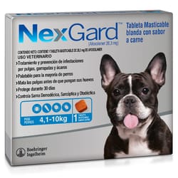 NexGard - Perros De 4 Hasta 10 Kg.