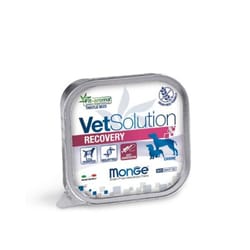 Monge - VetSolution Recovery Canine