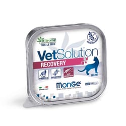Monge - VetSolution Recovery Feline
