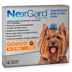 NexGard - Perros De 2 Hasta 4 Kg.